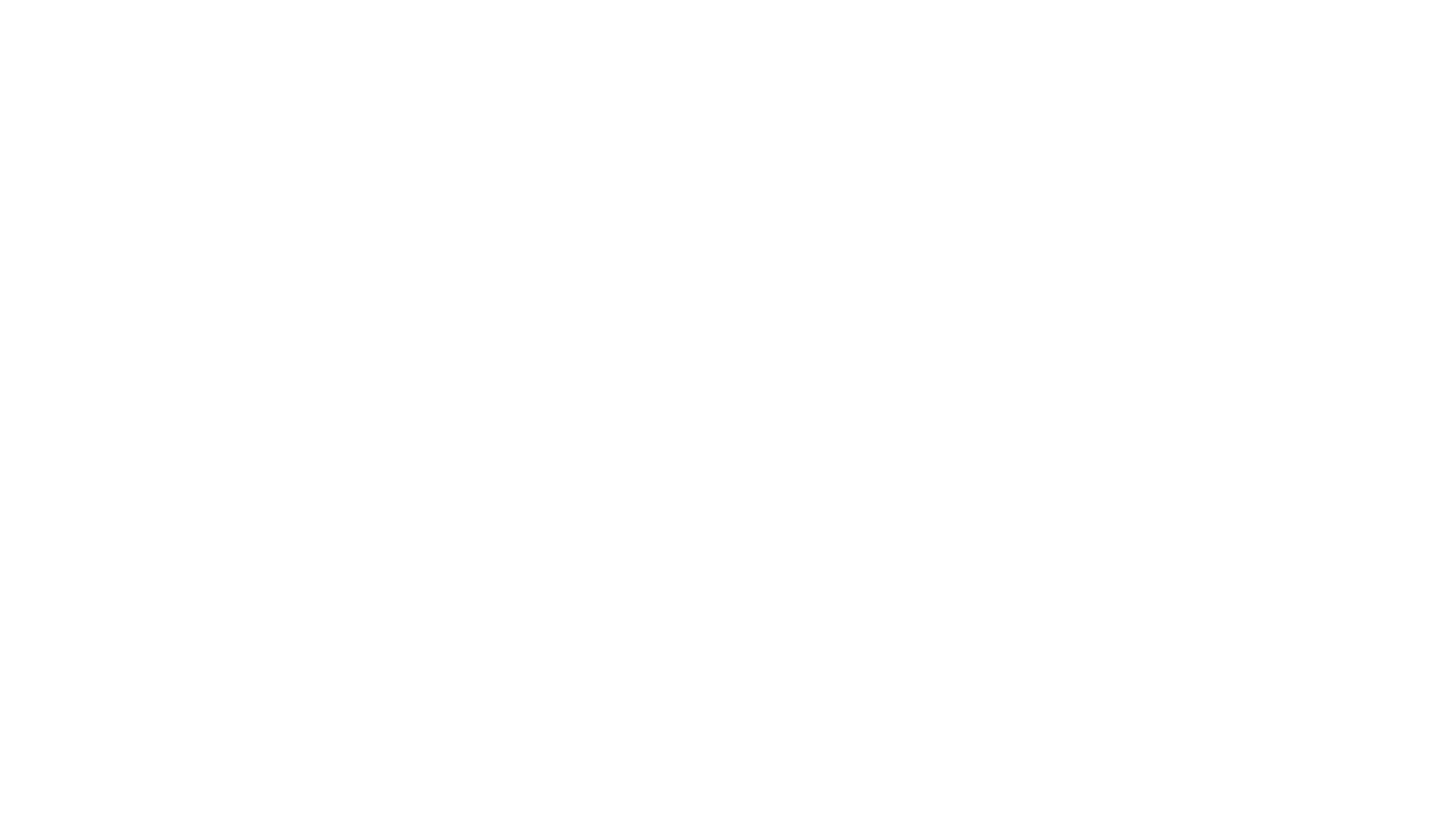 Logo | Agence Raid - L'agence web à Bordeaux